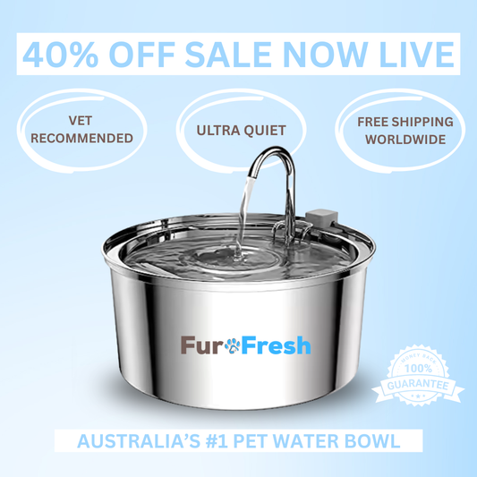 FurFresh Water Fountain