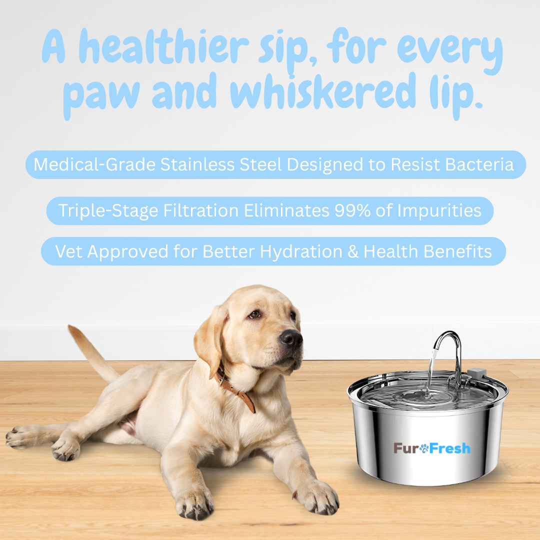 FurFresh Water Fountain