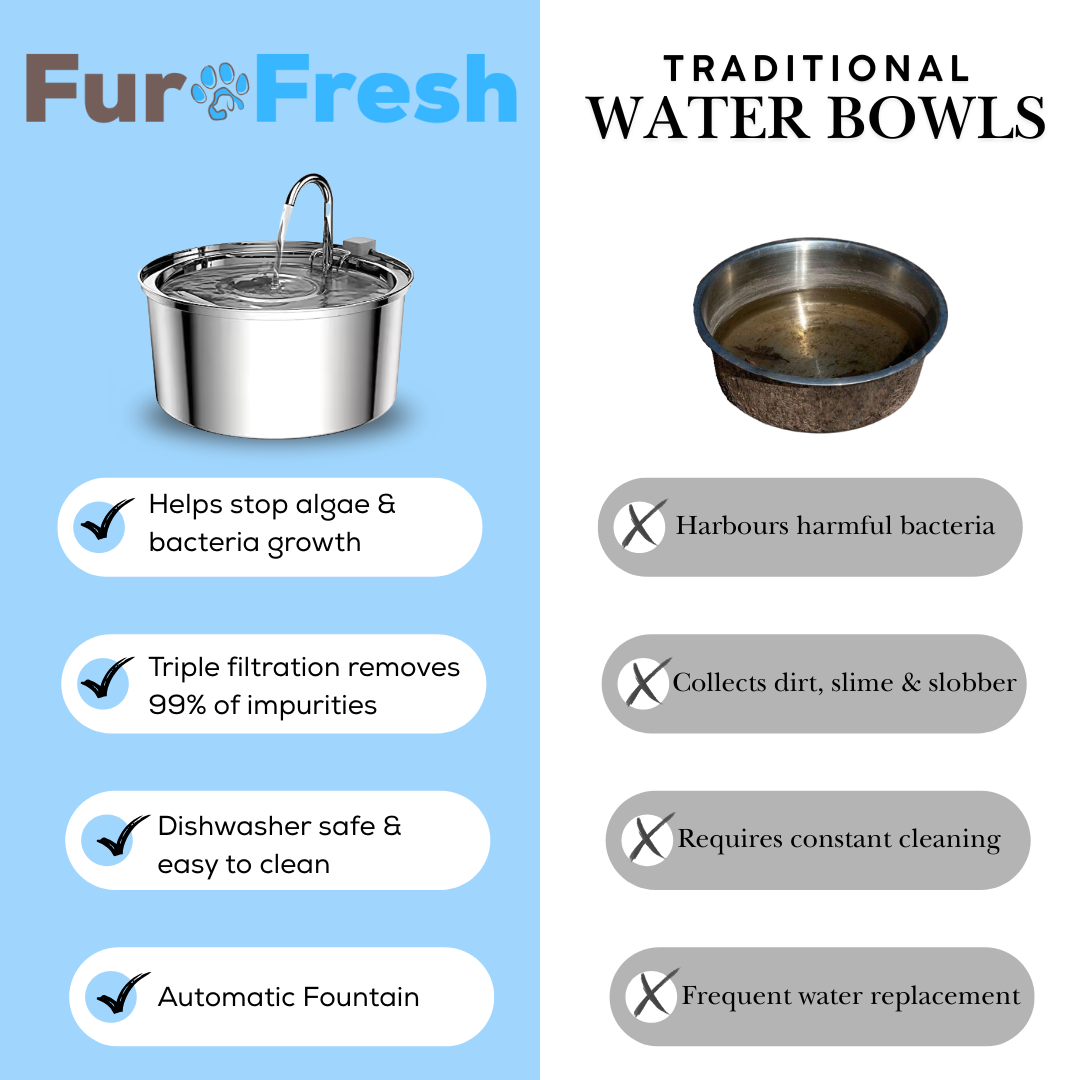 FurFresh Water Fountain