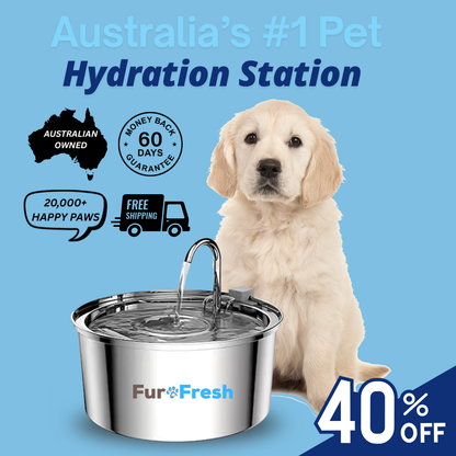 FurFresh Water Fountain