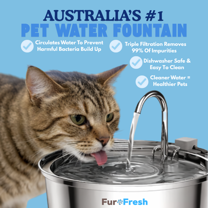 FurFresh Water Fountain