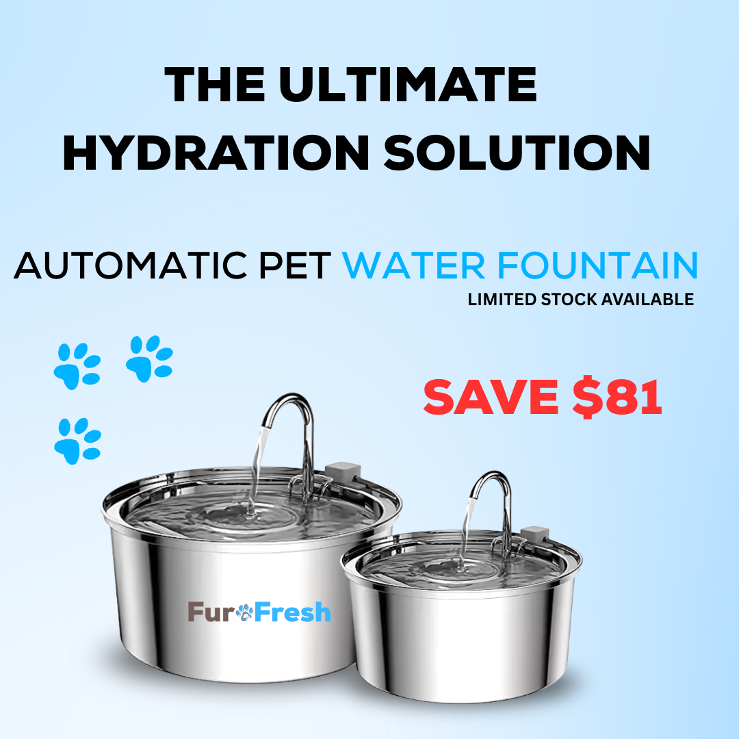 FurFresh Water Fountain