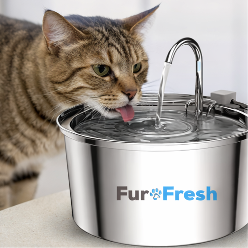 FurFresh Water Fountain